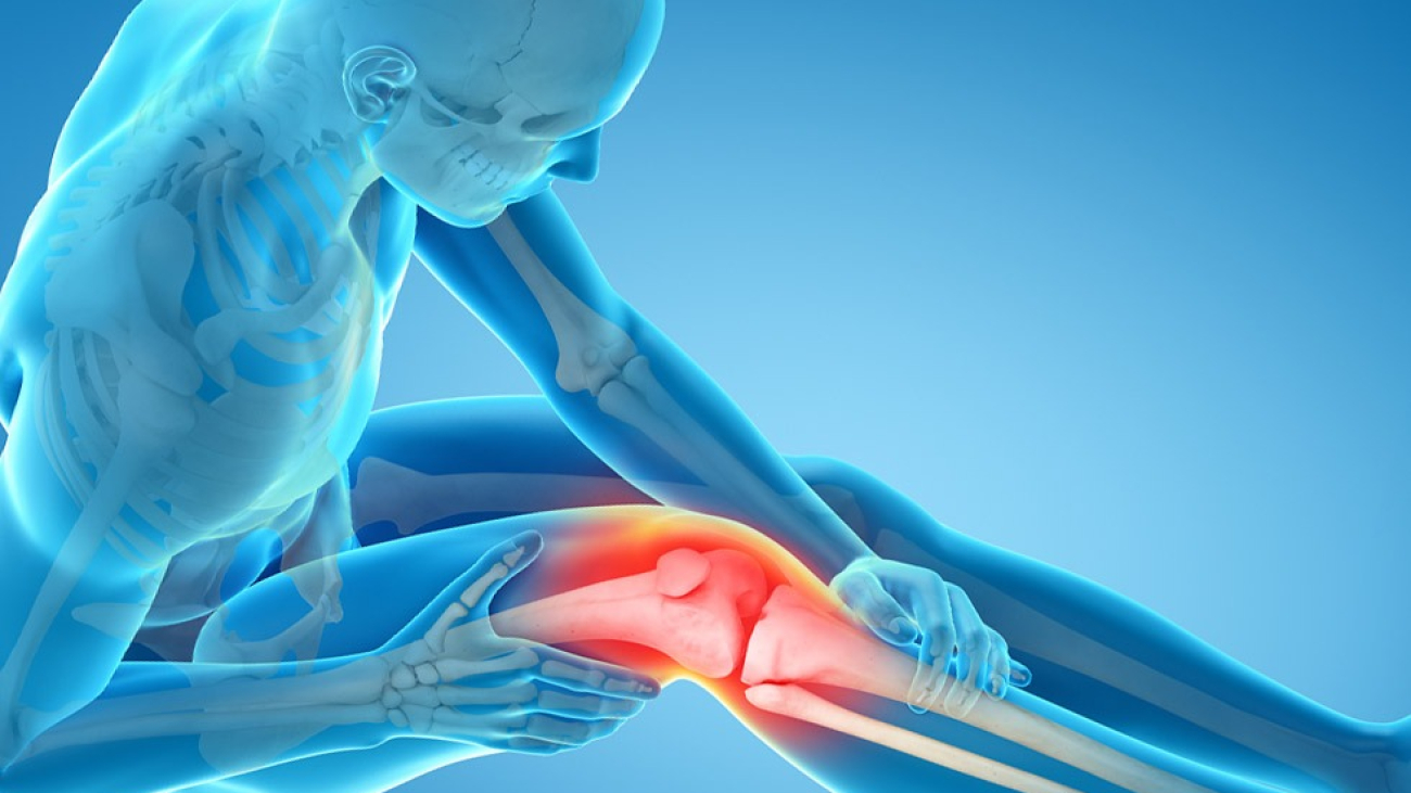 Knee Surgeon