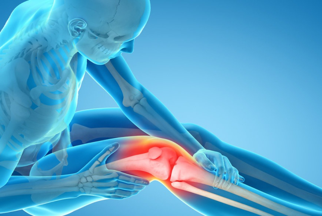 Knee Surgeon