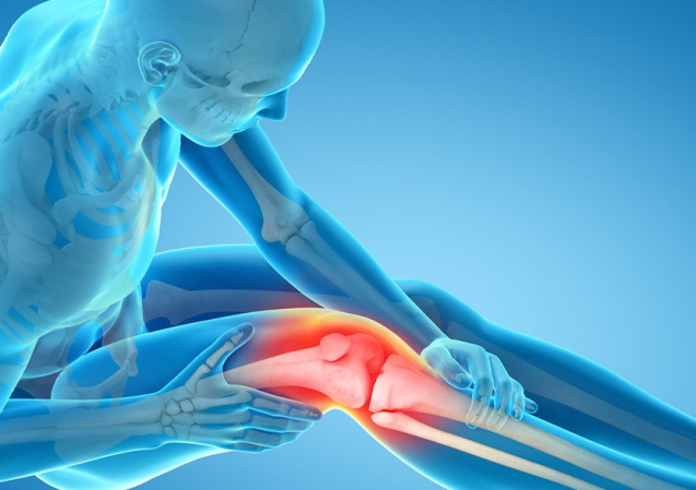 Knee Surgeon