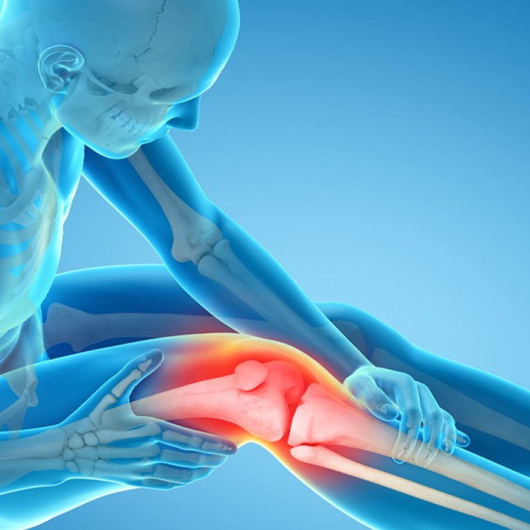 Knee Surgeon